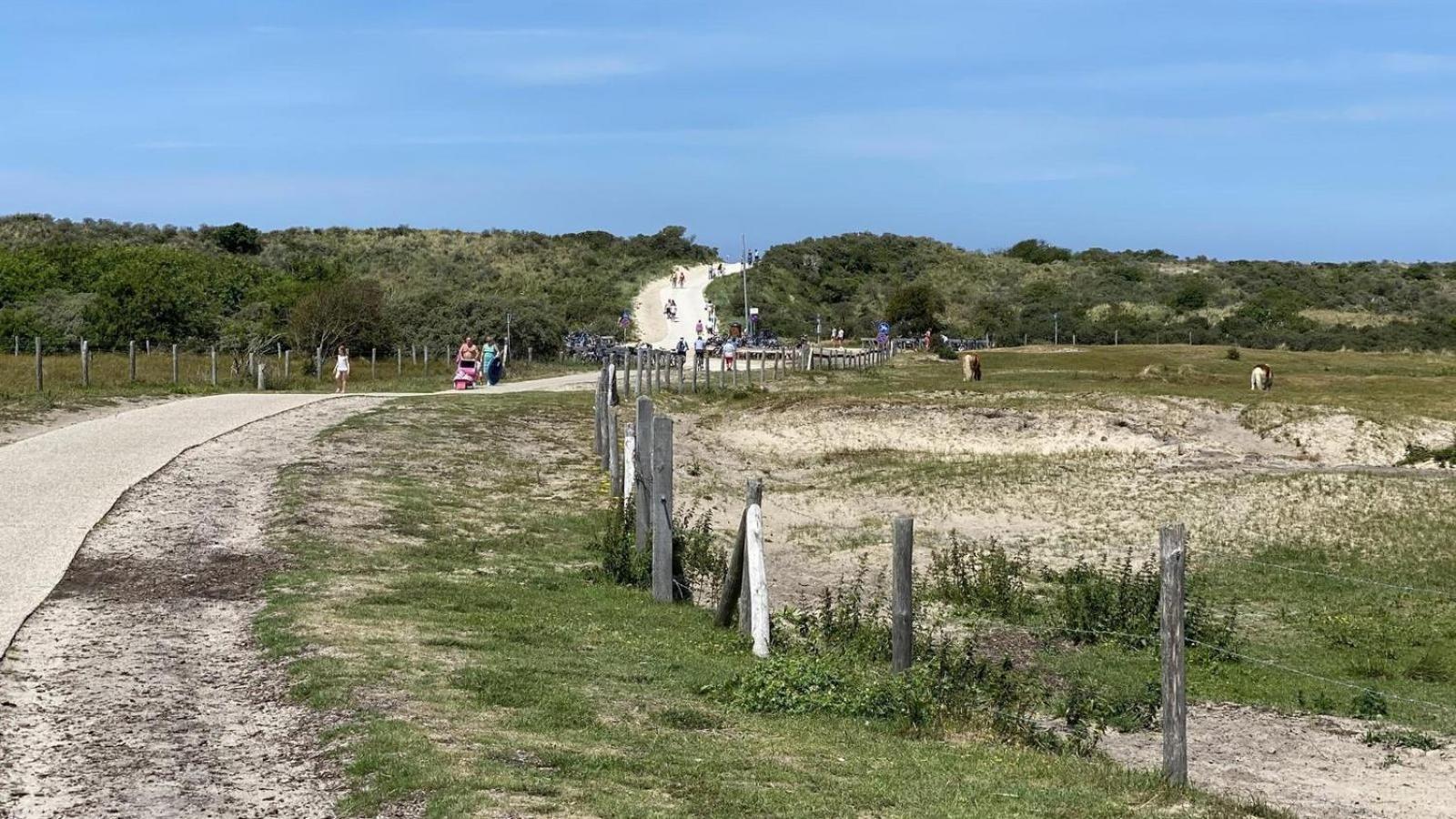 Willa Vz804 Vakantiechalet Arend 1833 Renesse Zewnętrze zdjęcie